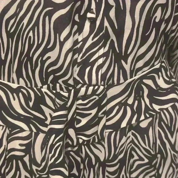 Zara zebra print maxi dress - Picture 9 of 15